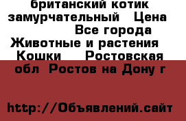 британский котик замурчательный › Цена ­ 12 000 - Все города Животные и растения » Кошки   . Ростовская обл.,Ростов-на-Дону г.